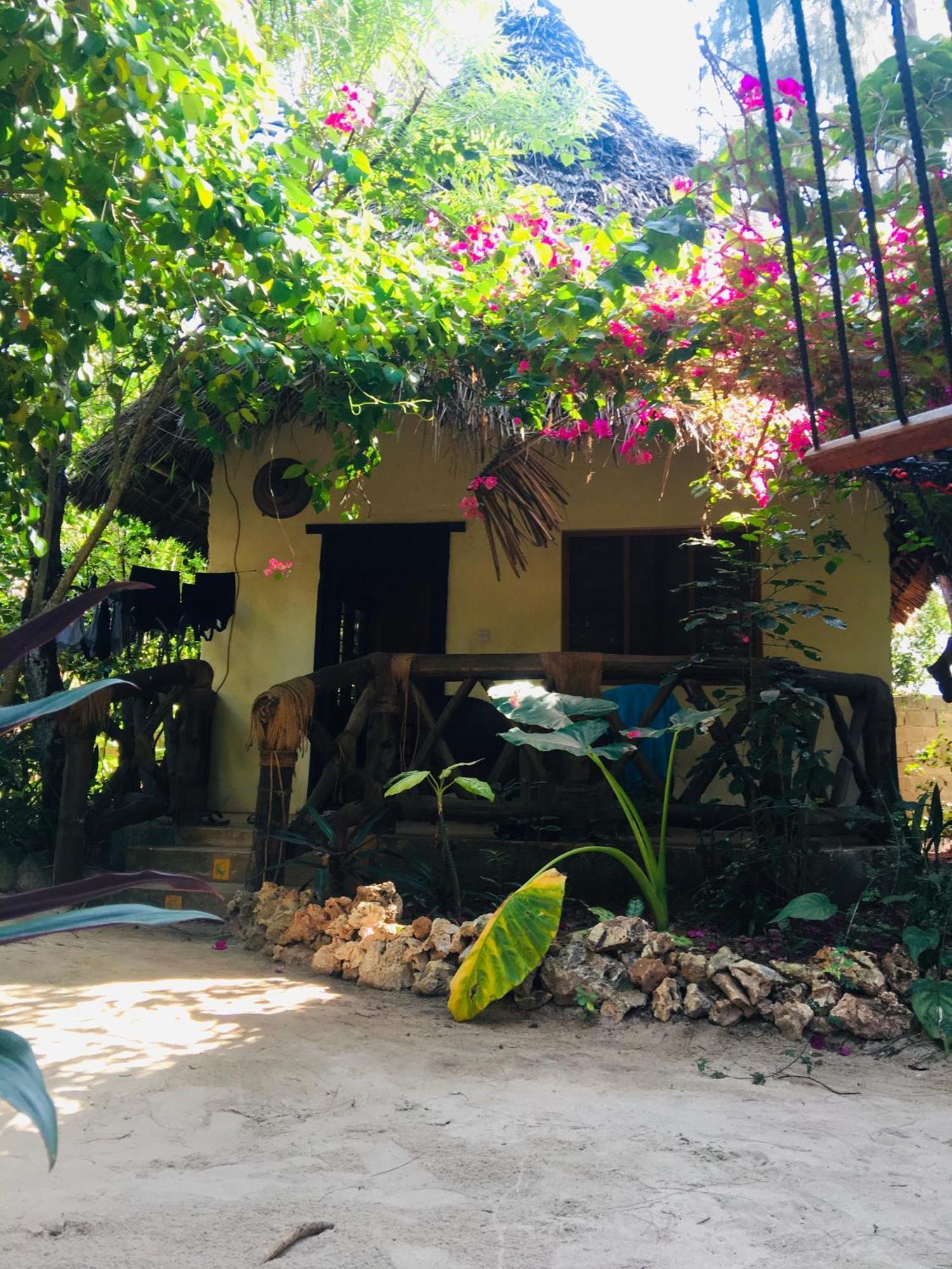 Pensjonat Casa Umoja Nungwi